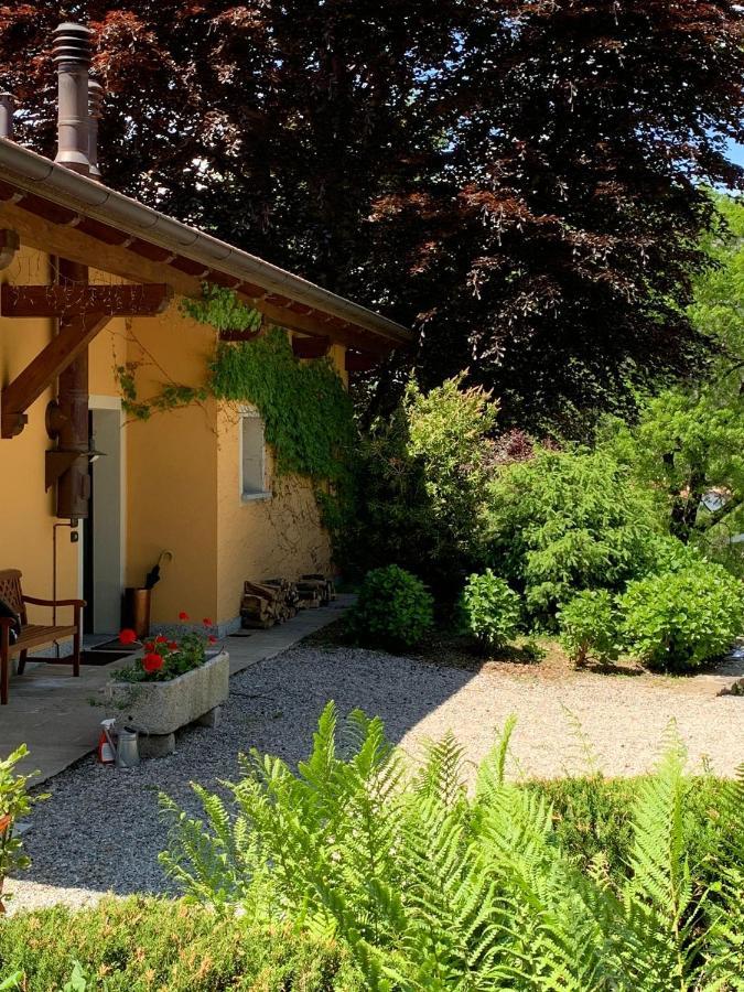 The Comfortable House With Big Pool In The Center Of メルゴッツォ エクステリア 写真